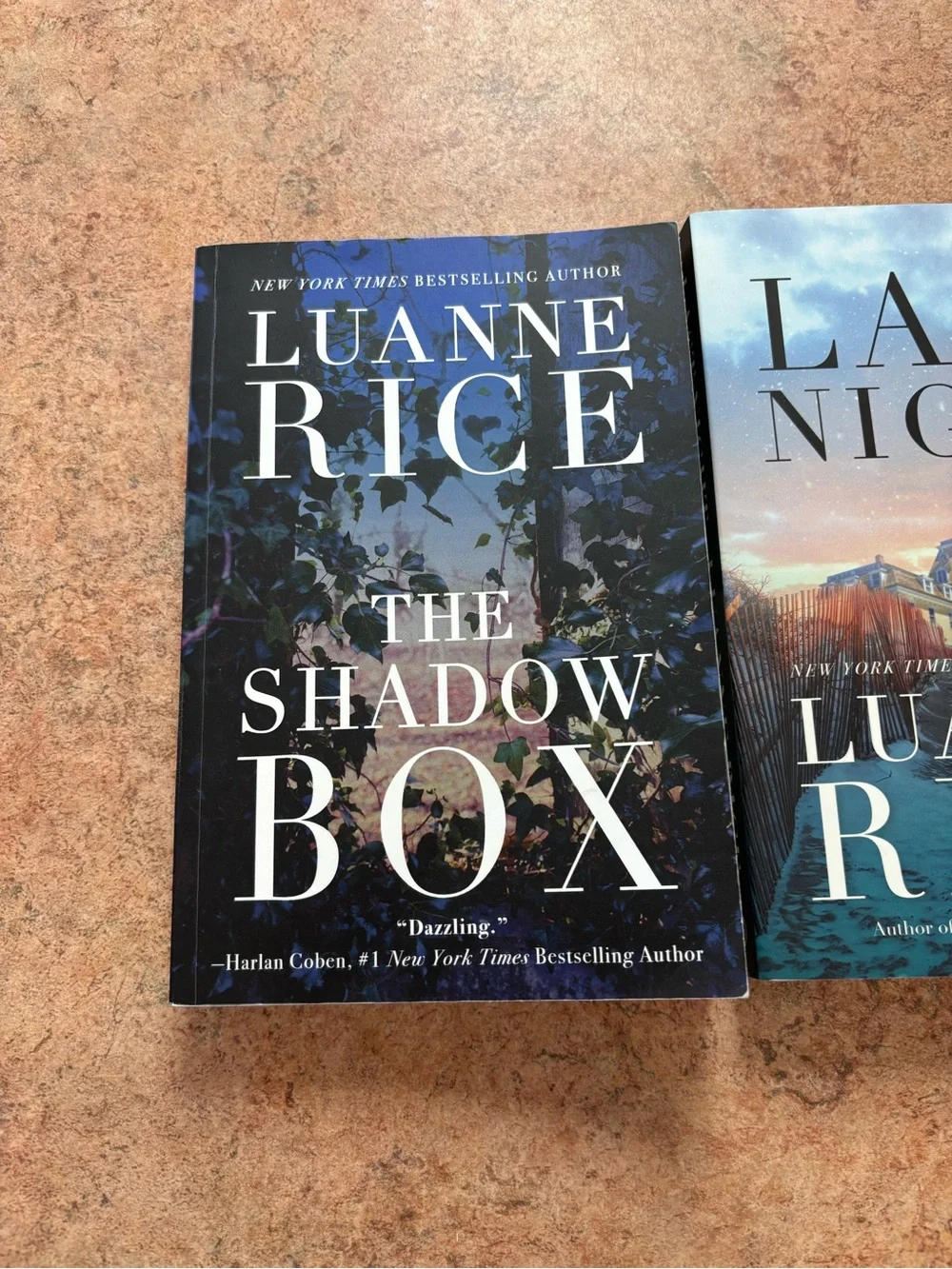 Luanne Rice 2 mystery book bundle